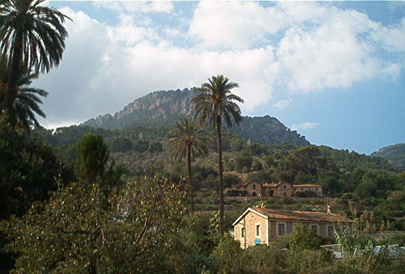 mallorca5